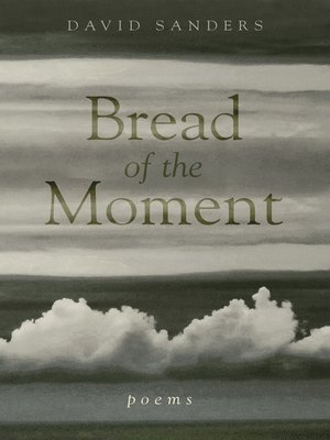 cover image of Bread of the Moment: Poems